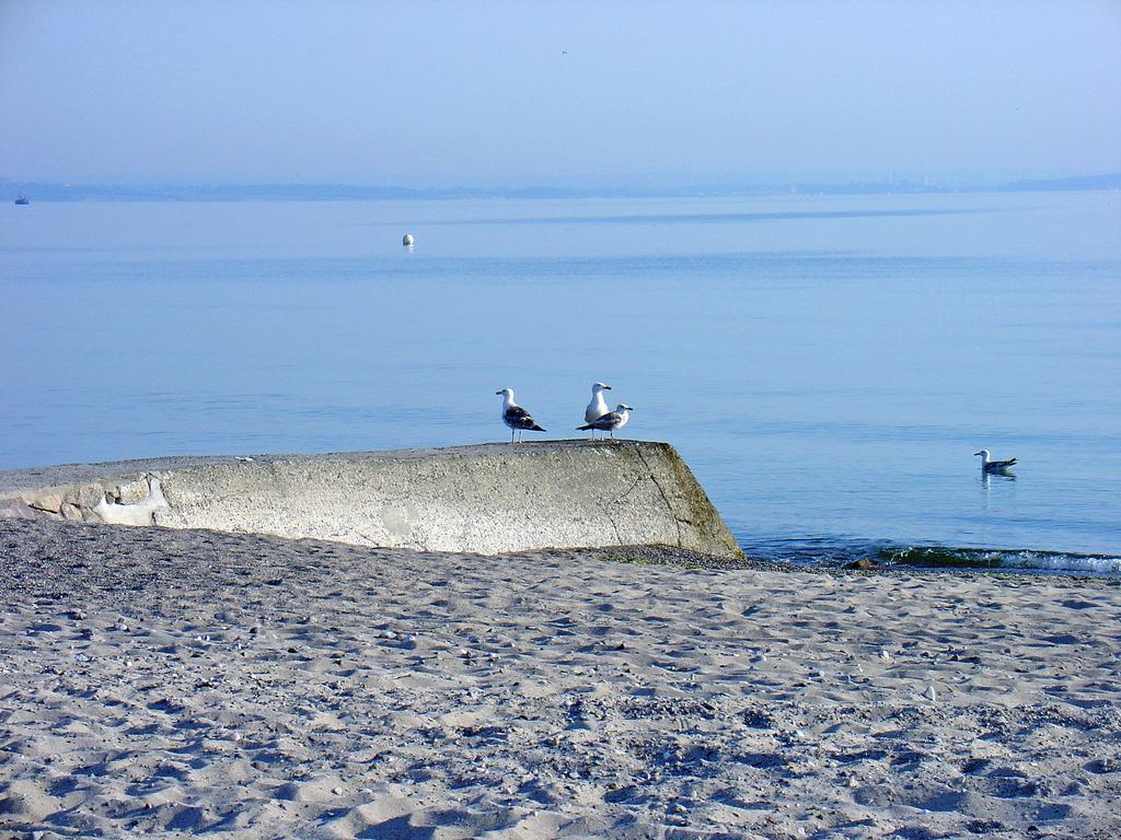 FeWo Machedanz Timmendorfer Strand Exterior foto